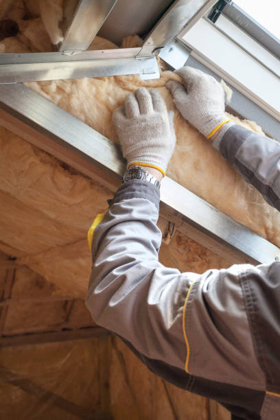 Best Residential Insulation in Kalaheo, HI