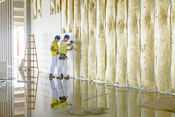 Best Commercial Insulation in Kalaheo, HI